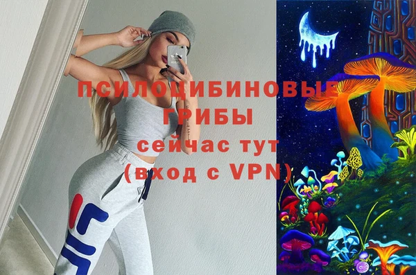 крисы Алзамай