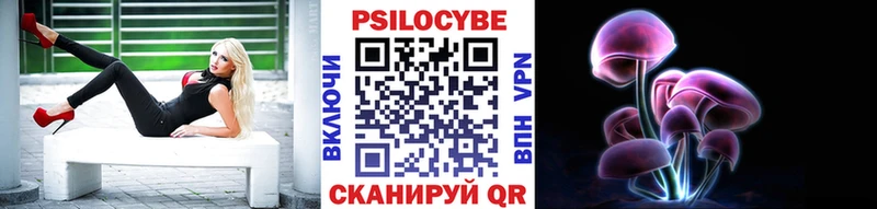 Псилоцибиновые грибы мицелий  даркнет сайт  Дмитров 